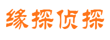 东河侦探公司